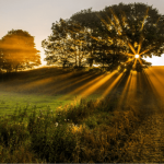How to use natural light in urban photography
